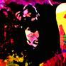 Inspired by The Doors, JIm Morrison..one of the greatest frontmen of all time..Ray Manzarek, Robby Krieger and John Densmore..The band took it's name from Aldous Huxley's book The Doors of Perception, leading you into worlds of reality far removed from this time and place! "Riders on the storm..riders on the storm..into this house we're born..into this house we're thrown..like a dog without a bone, an actor out on loan..riders on the storm..riders on the storm..riders on the storm..."