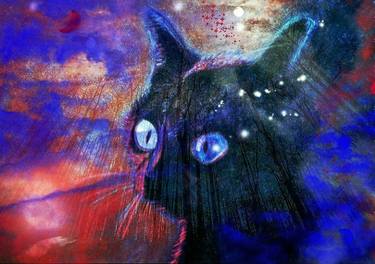 Original Cats Paintings by barry boobis