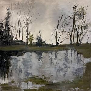 Memory of water