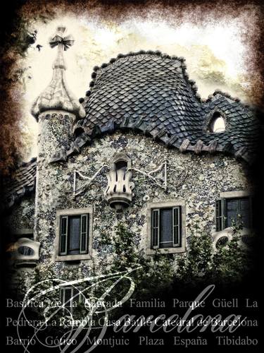 Casa Batllo/XL large original artwork thumb