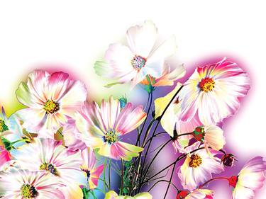 Print of Floral Digital by Javier Diaz