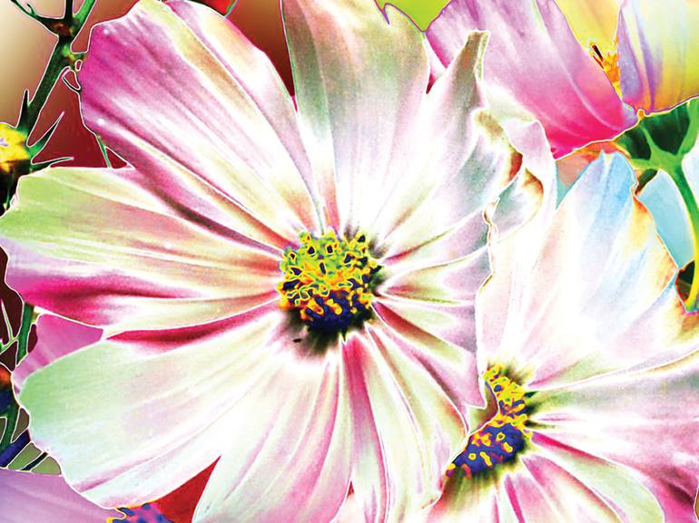 Original Minimalism Floral Digital by Javier Diaz