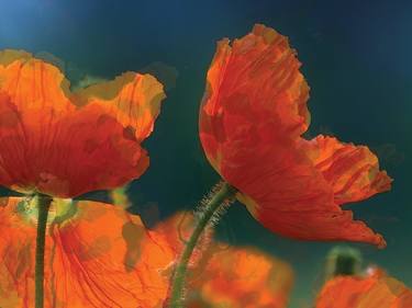 Original Figurative Floral Digital by Javier Diaz