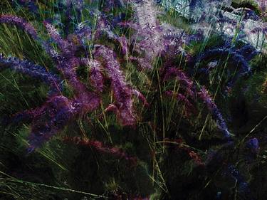 Original Abstract Floral Digital by Javier Diaz