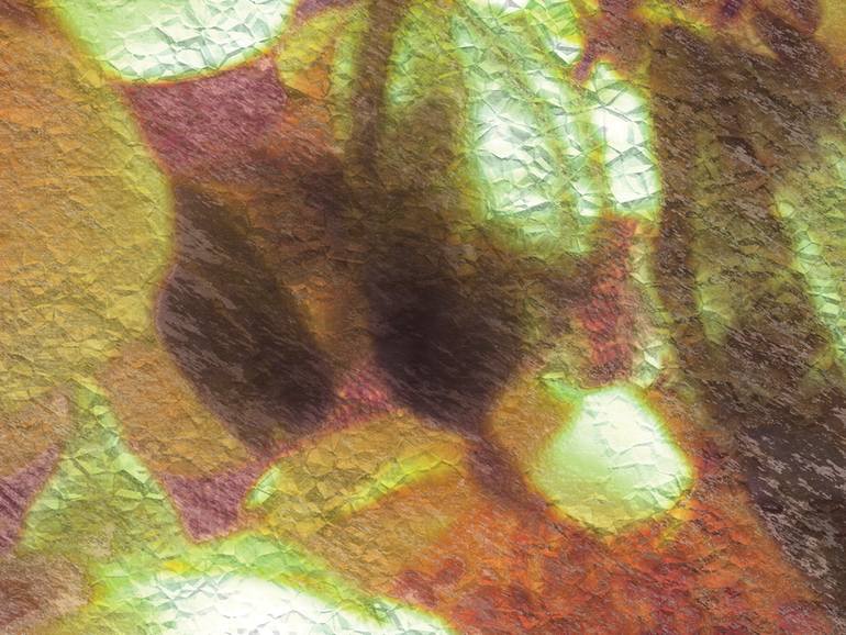 Original Figurative Floral Digital by Javier Diaz
