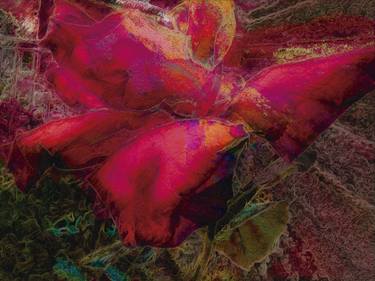 Original Abstract Floral Digital by Javier Diaz