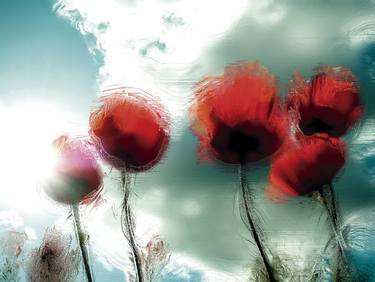 Original Figurative Floral Digital by Javier Diaz