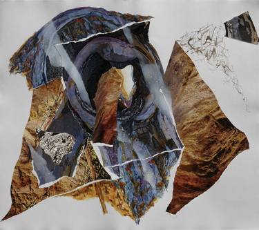 Original Abstract Nature Collage by Nel ten Wolde