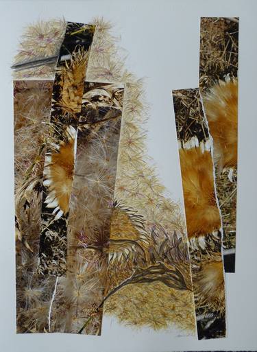 Original Abstract Nature Collage by Nel ten Wolde