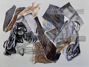 Original Photorealism Abstract Collage by Nel ten Wolde