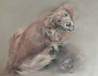 Original Realism Animal Drawings by Natalia Qaliashvili