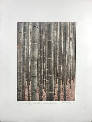 Arahiyama Bamboo Forest - Limited Edition of 5 thumb