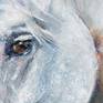 Close Up Detail