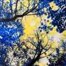 Night sky full moon with trees