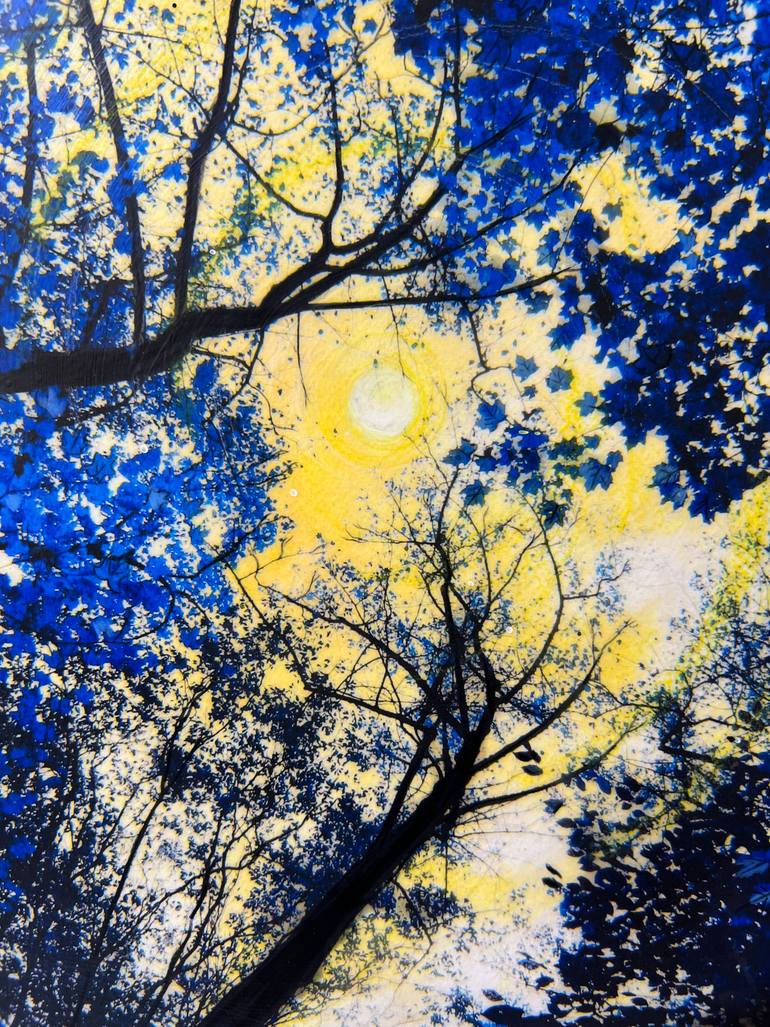 Original Contemporary Nature Mixed Media by Gina Signore