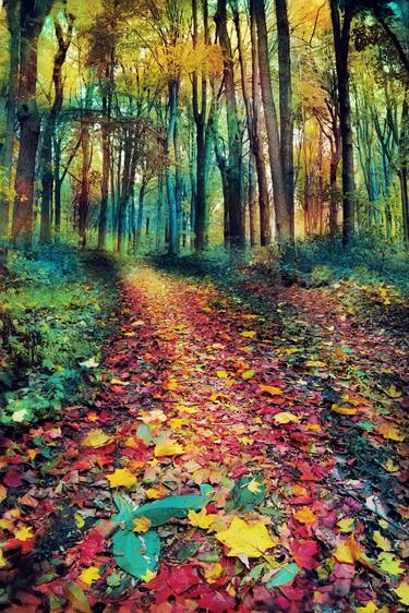 Where leaves gather, autumn pathways thumb