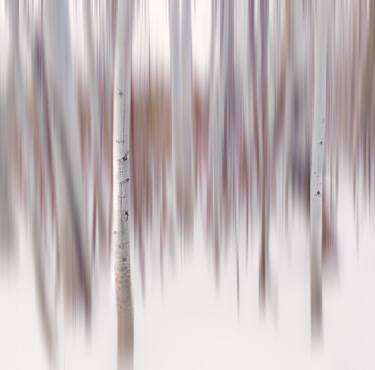 Original Abstract Nature Photography by Francesco Carucci