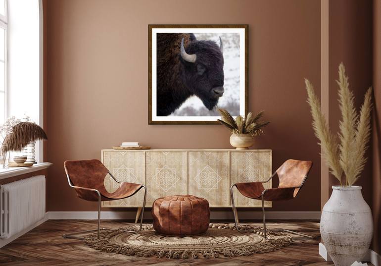Original Photorealism Animal Photography by Martin Linss