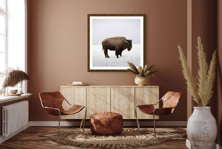 Original Photorealism Animal Photography by Martin Linss