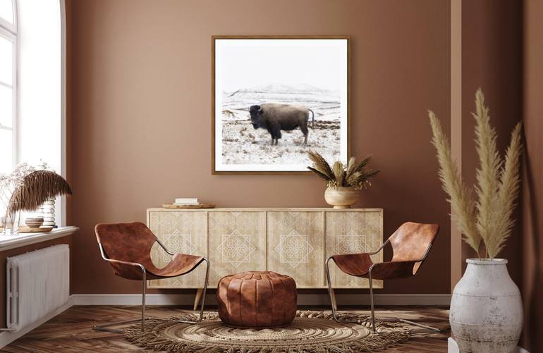 Original Minimalism Animal Photography by Martin Linss