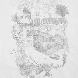Collection Vassily Zavialov