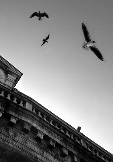 Man and birds on bridge in Venice - Limited Edition thumb