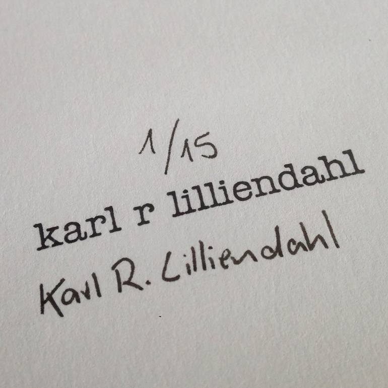 Original Other Abstract Photography by Karl R Lilliendahl