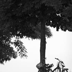Collection Senza persone