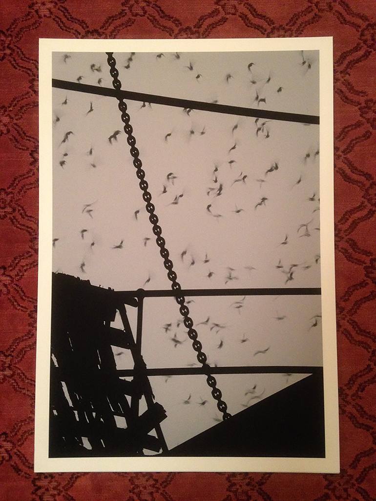 Original Other Abstract Photography by Karl R Lilliendahl