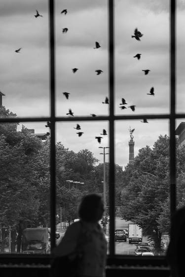 Birds over Berlin thumb