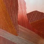 Interim by Tarli Bird