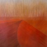 Sahara by Tarli Bird