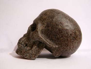 skull / manually sculpted and hand painted plaster sculpture thumb