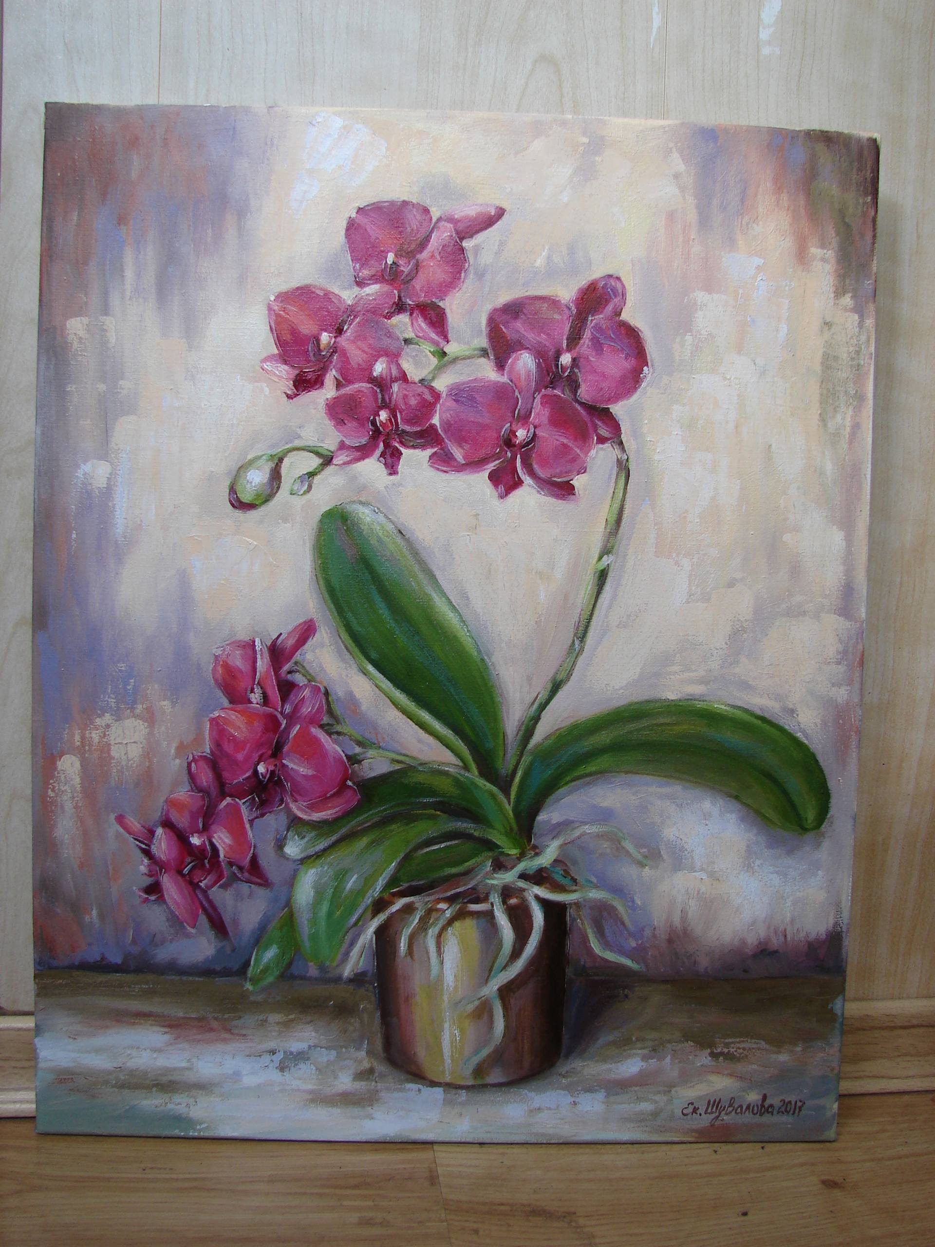 Orchid. Painting by Kateryna Shuvalova  Saatchi Art