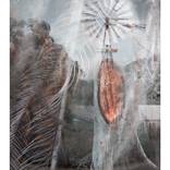 ....on the shoulders of Giants by Clayton  John