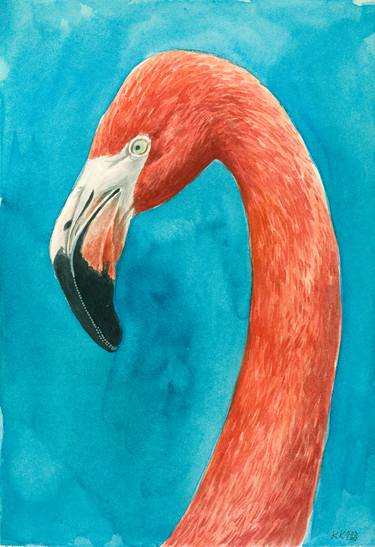 Flamingo portrait thumb