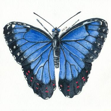 Blue morpho butterfly thumb