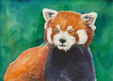 Print of Realism Animal Paintings by Katerina Kirilova