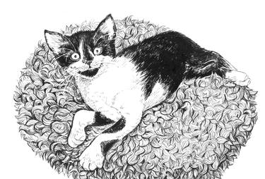 Original Illustration Cats Drawings by Katerina Kirilova