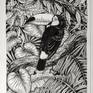 Toucan garden is drawn with indian ink and brush on 100% cotton 300 gms watercolor paper. The overall size of the drawing is 37cmX26cm.