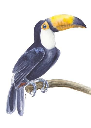 Toucan on a branch thumb