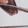 Hummingbird is painted with Sennlier watercolors and on 100% cotton 300 gms Saunders watercolor paper.