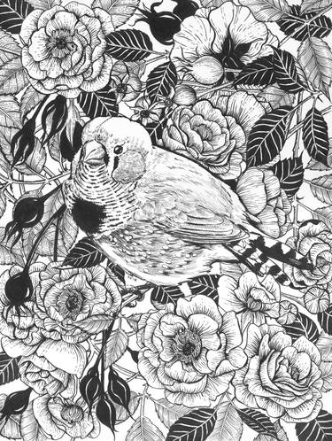 Zebra finch in the roses thumb