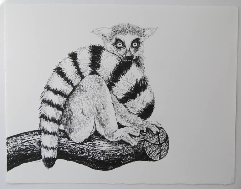 Original Animal Drawing by Katerina Kirilova