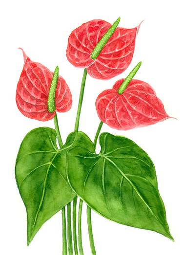 Print of Floral Paintings by Katerina Kirilova
