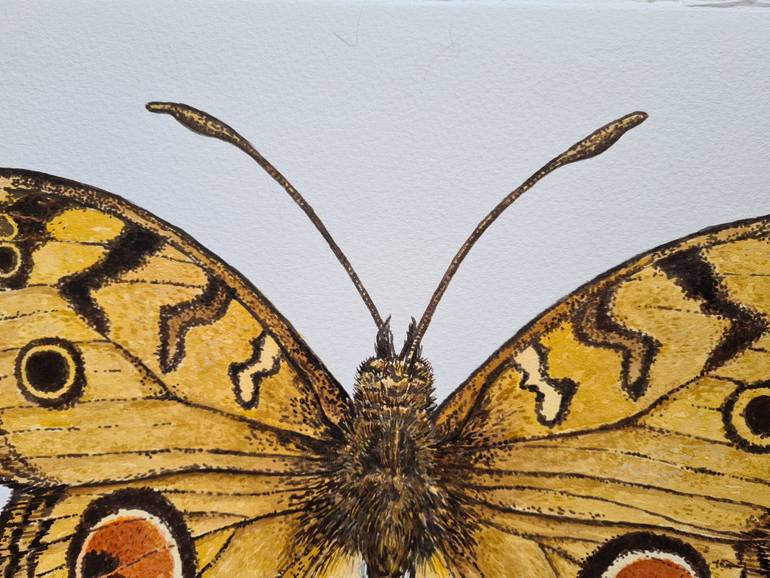 Original Realism Animal Painting by Katerina Kirilova