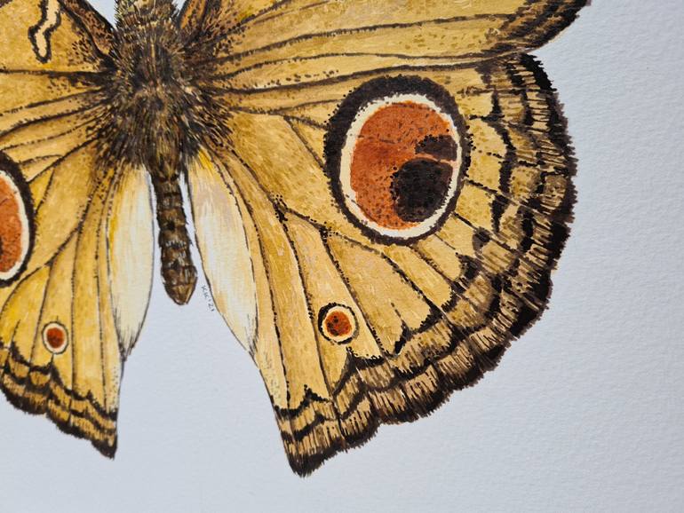 Original Realism Animal Painting by Katerina Kirilova