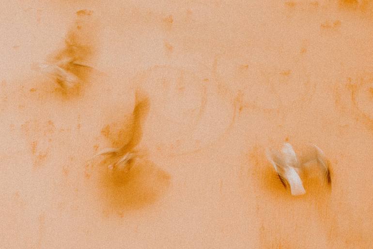 A look through wet eyelashes 7 Photography by Tania Ruda | Saatchi Art