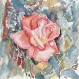 Coral rose by Olena Lykhodid