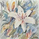 Pearl white lily by Olena Lykhodid